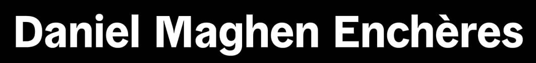 Daniel Maghen Enchères et Expertises logo