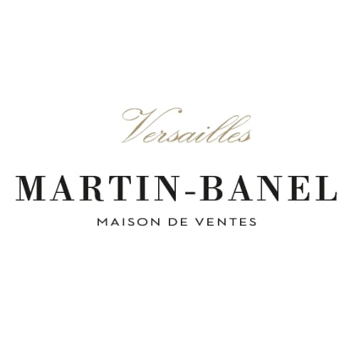 Martin - Banel logo