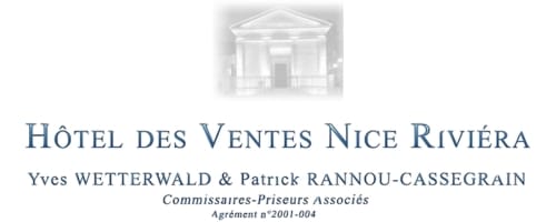 Hôtel des Ventes Nice Riviéra logo