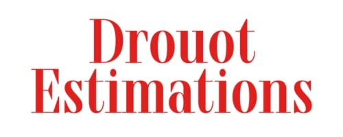 Drouot Estimations logo