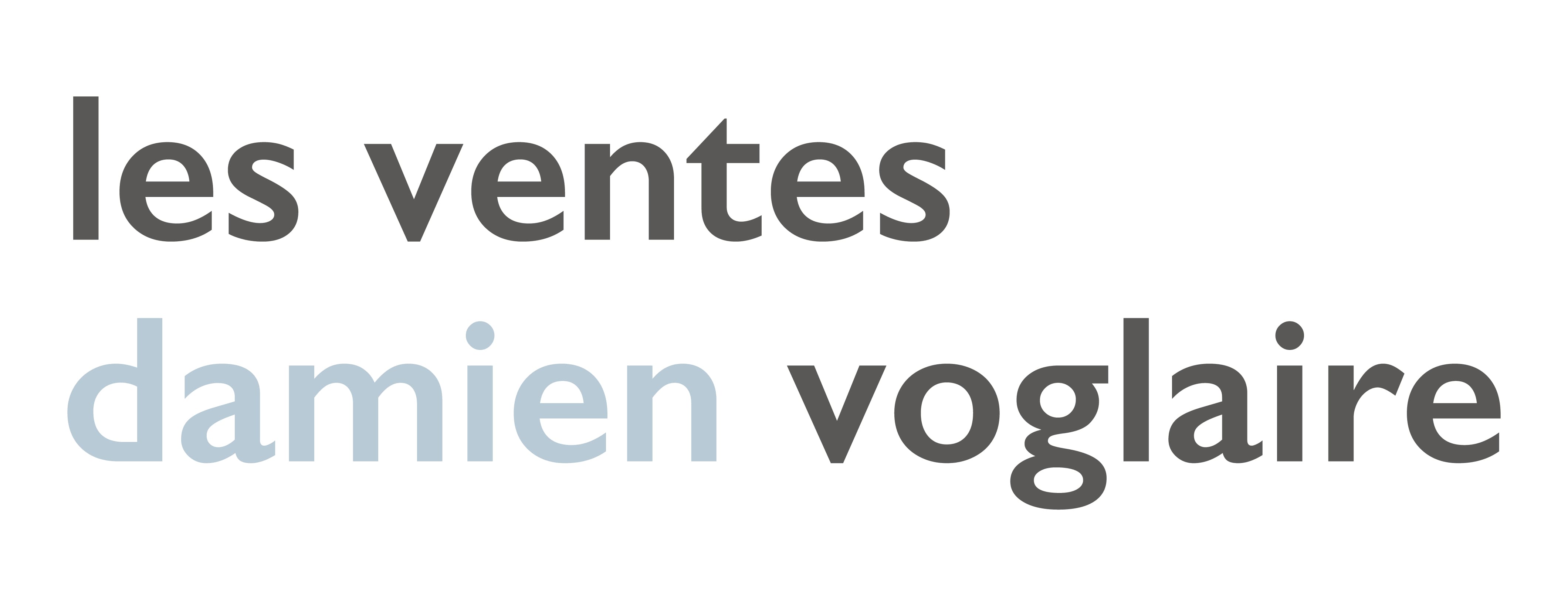Les ventes Damien Voglaire SRL logo
