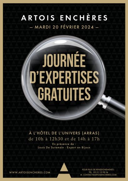 JOURNÉE D'EXPERTISES GRATUITES -  ARRAS - MARDI  20 FEVRIER 2024