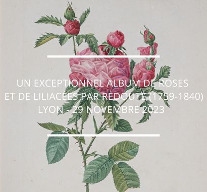 Les Roses et les Liliacées, des chefs-d’œuvre de l’art floral