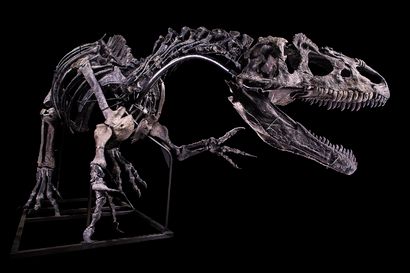 13 octobre 2020 : allosaurus ADJUGÉ 3 067 400 €