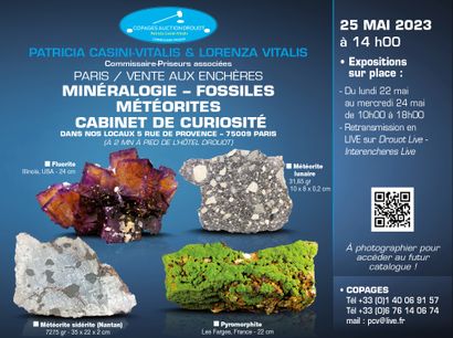 Vente en préparation le 25 mai : MINERALOGIE, FOSSILES ET MÉTÉORITES