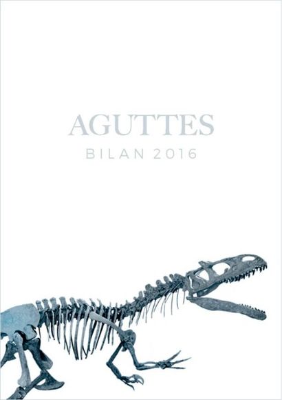 AGUTTES - BILAN 2016