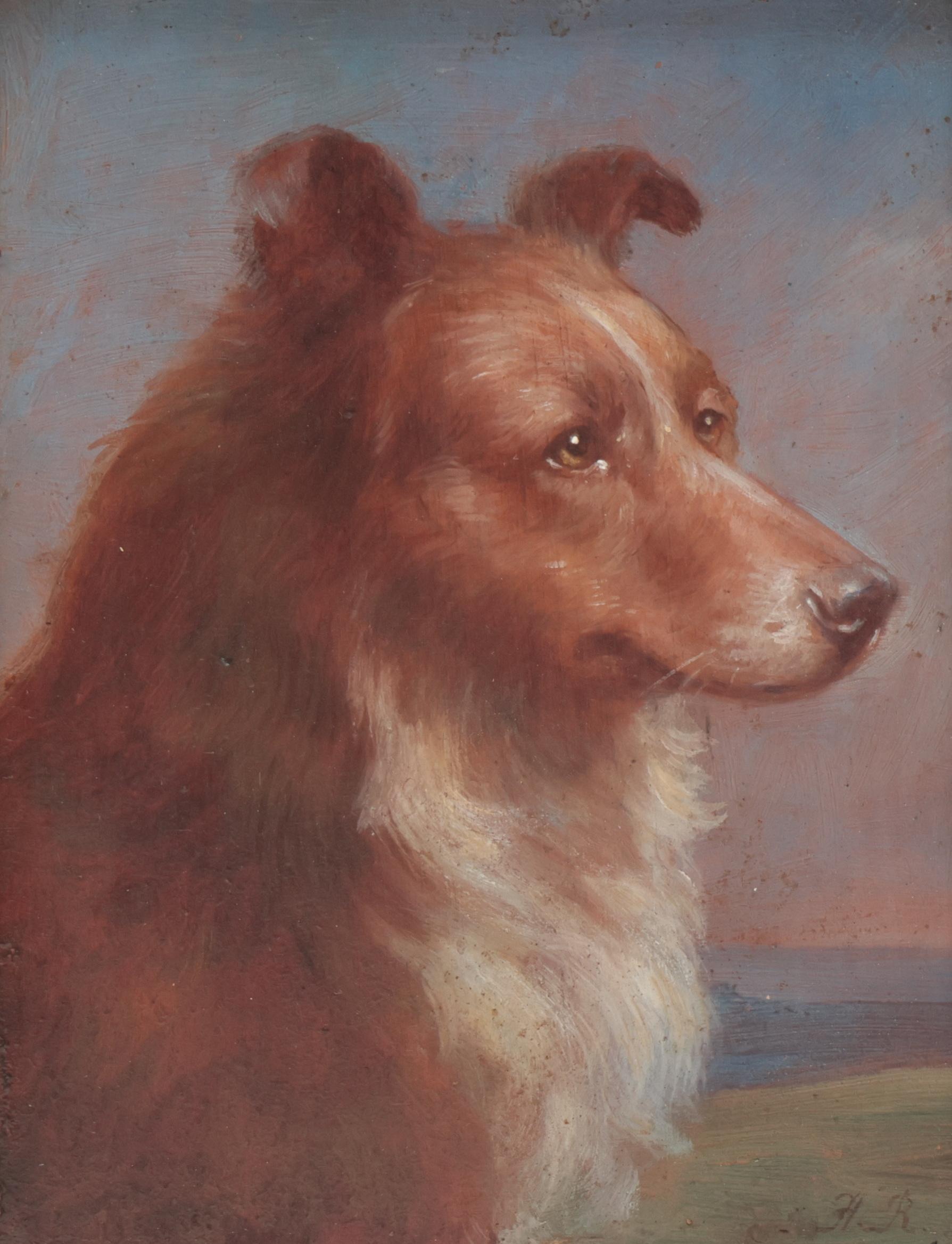 Signed H.R.Portrait of a Collie pa... | Old Masters (before 1870): bids