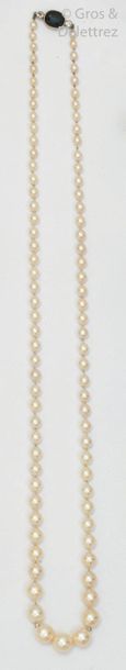 Null Necklace of falling cultured pearls, the white gold clasp adorned with a sa&hellip;