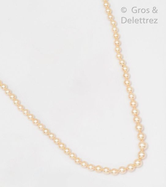 Null Necklace made of a drop of cultured pearls. The yellow gold ratchet clasp w&hellip;