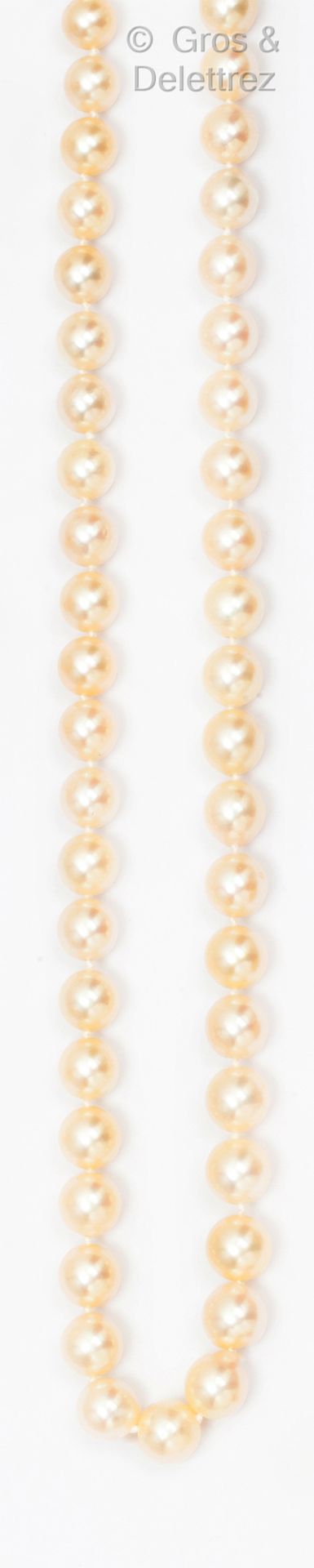 Null Necklace made of Japanese Akoia cultured pearls, the clasp in yellow gold. &hellip;