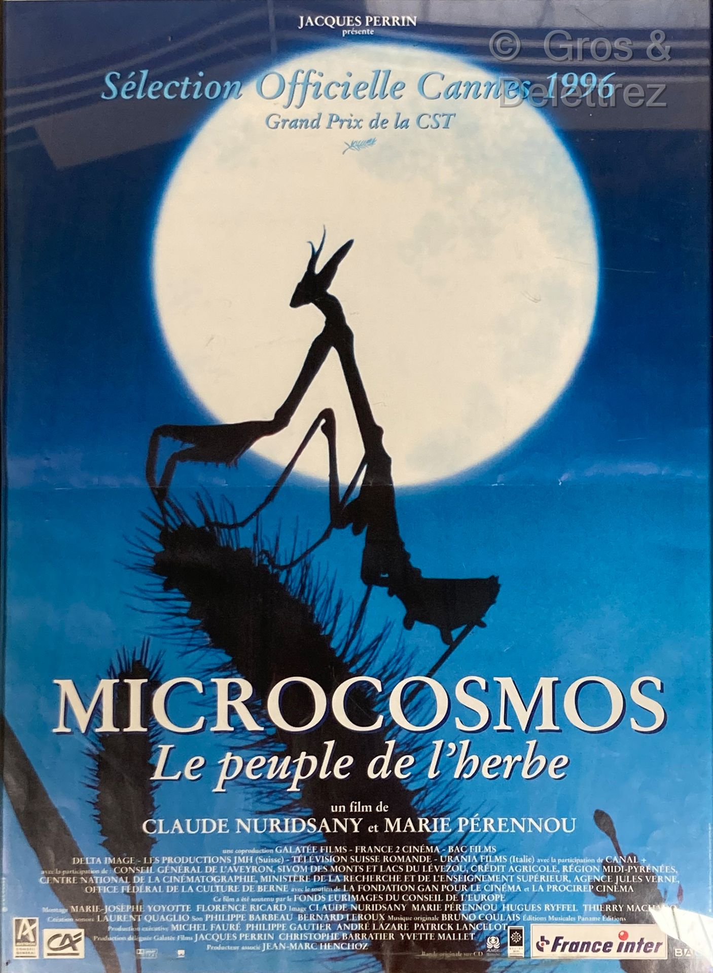 Claude Nuridsany et Marie Pérenou MICROCOSMOS, das Volk des Grases

Filmplakat

&hellip;