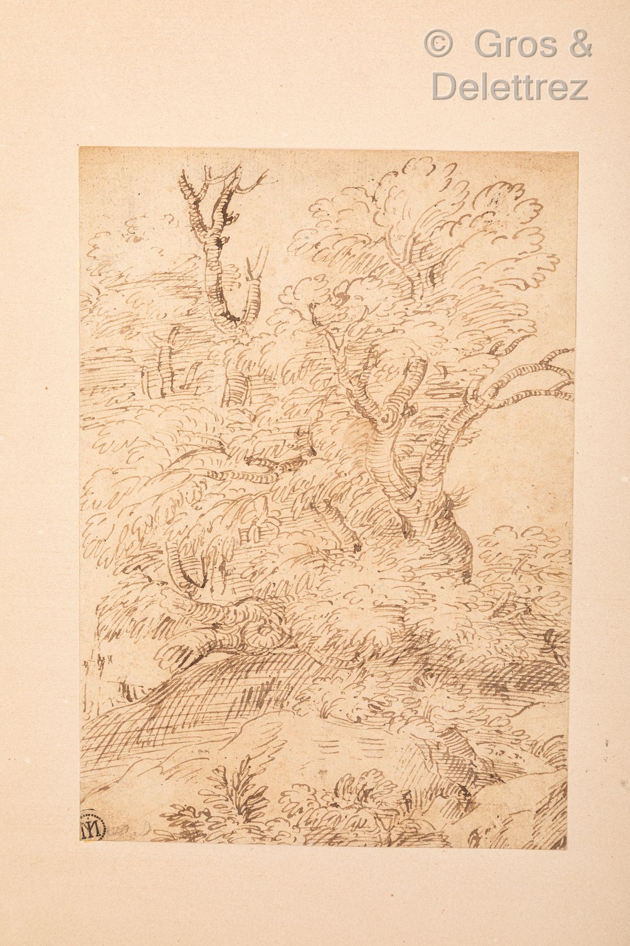 Null 博洛尼亚学校，17世纪

岬角上的一片树丛

钢笔和棕色墨水

23.5 x 16.7厘米。

未确定的收藏标记（L.1792）。