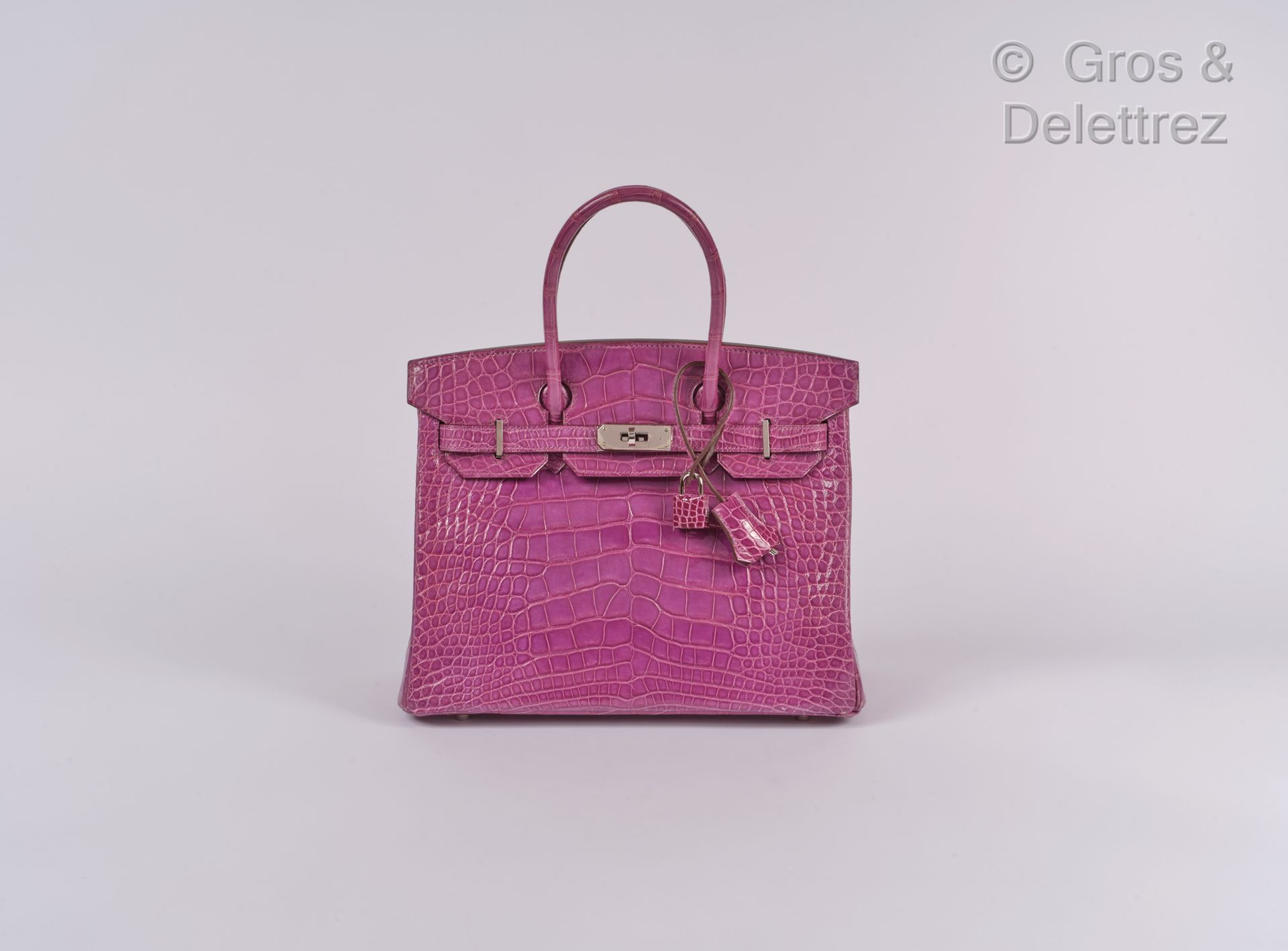 HERMÈS Paris made in France année 2009 ∆ "Birkin" bag 30 cm in Mississippiensis &hellip;