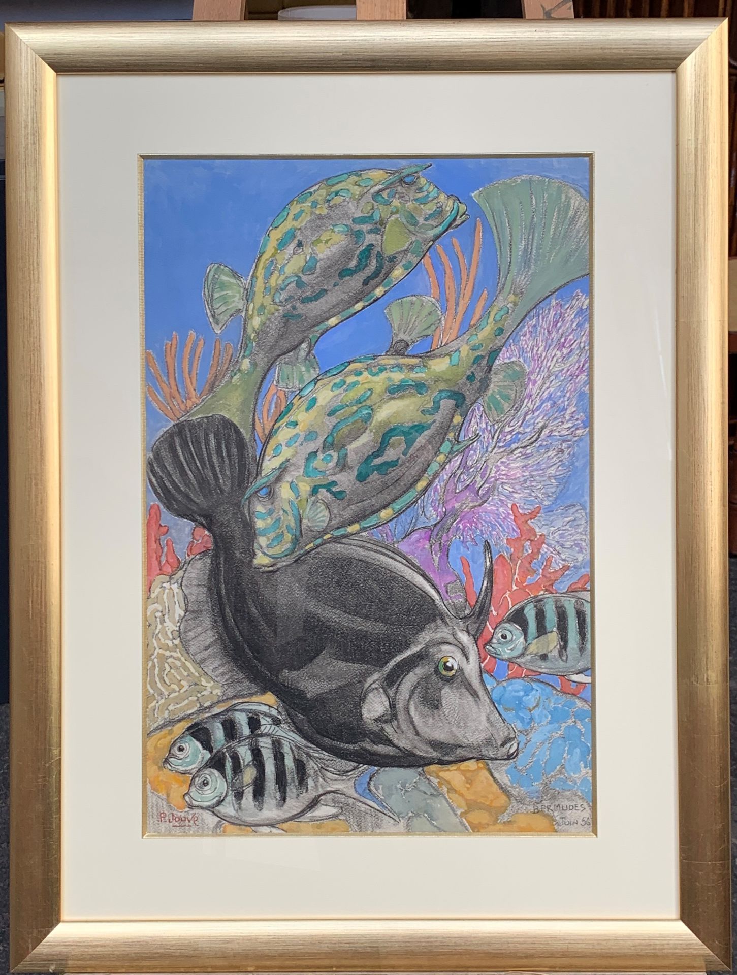Paul JOUVE (1878-1973) Bermuda fish, June 1956

Gouache on paper.

Signed lower &hellip;