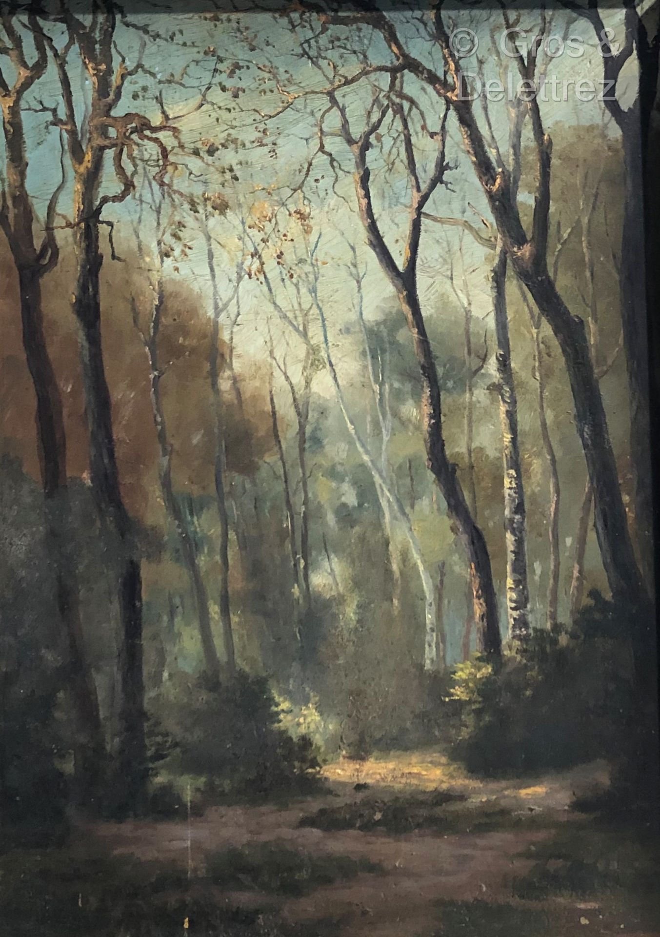 Null (SD) School of the 19th century 

Sunbeam in the forest 

Oil on panel

38 &hellip;