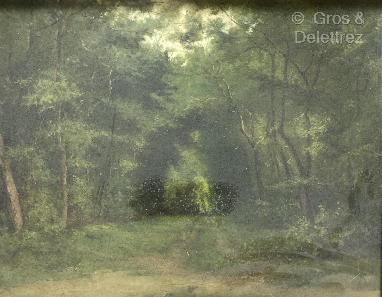 Null (E) 19世纪法国学校，科罗的风格

森林景观

板上油彩。