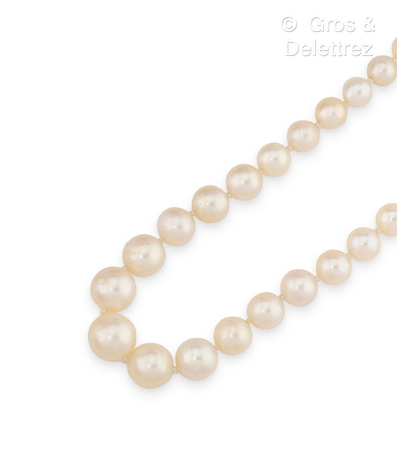 Null Necklace composed of a fall of fine pearls. The barrel-shaped clasp in whit&hellip;