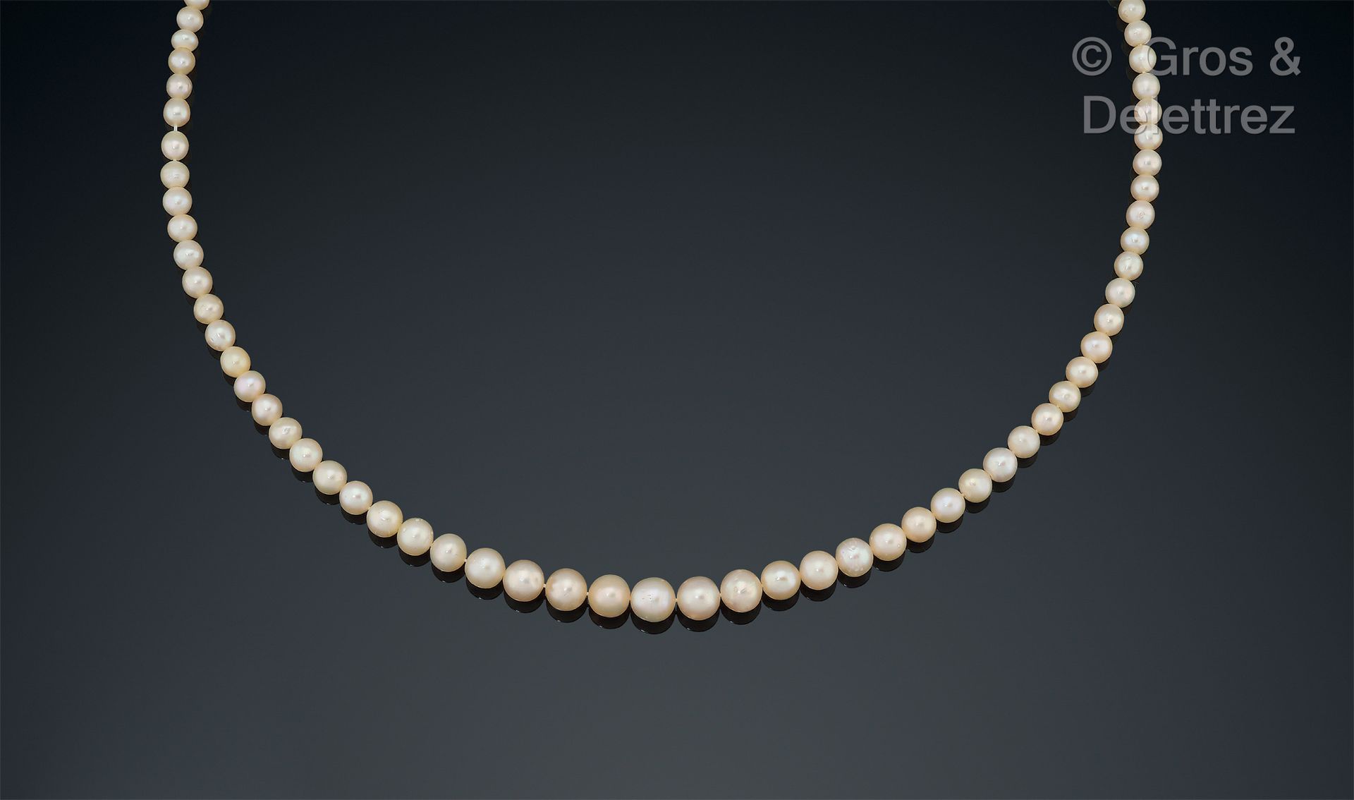 Null Collier composé d’un rang de 106 perles fines en chute, fermoir boule en or&hellip;