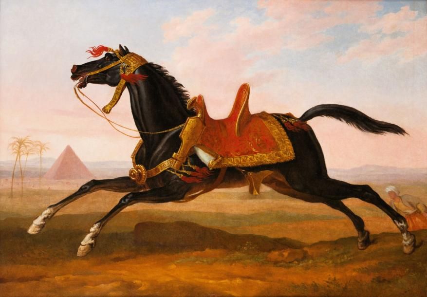 Carle VERNET (1758-1836) Cheval mamelouk Huile sur toile. 82 x 114 cm Fils du ma&hellip;