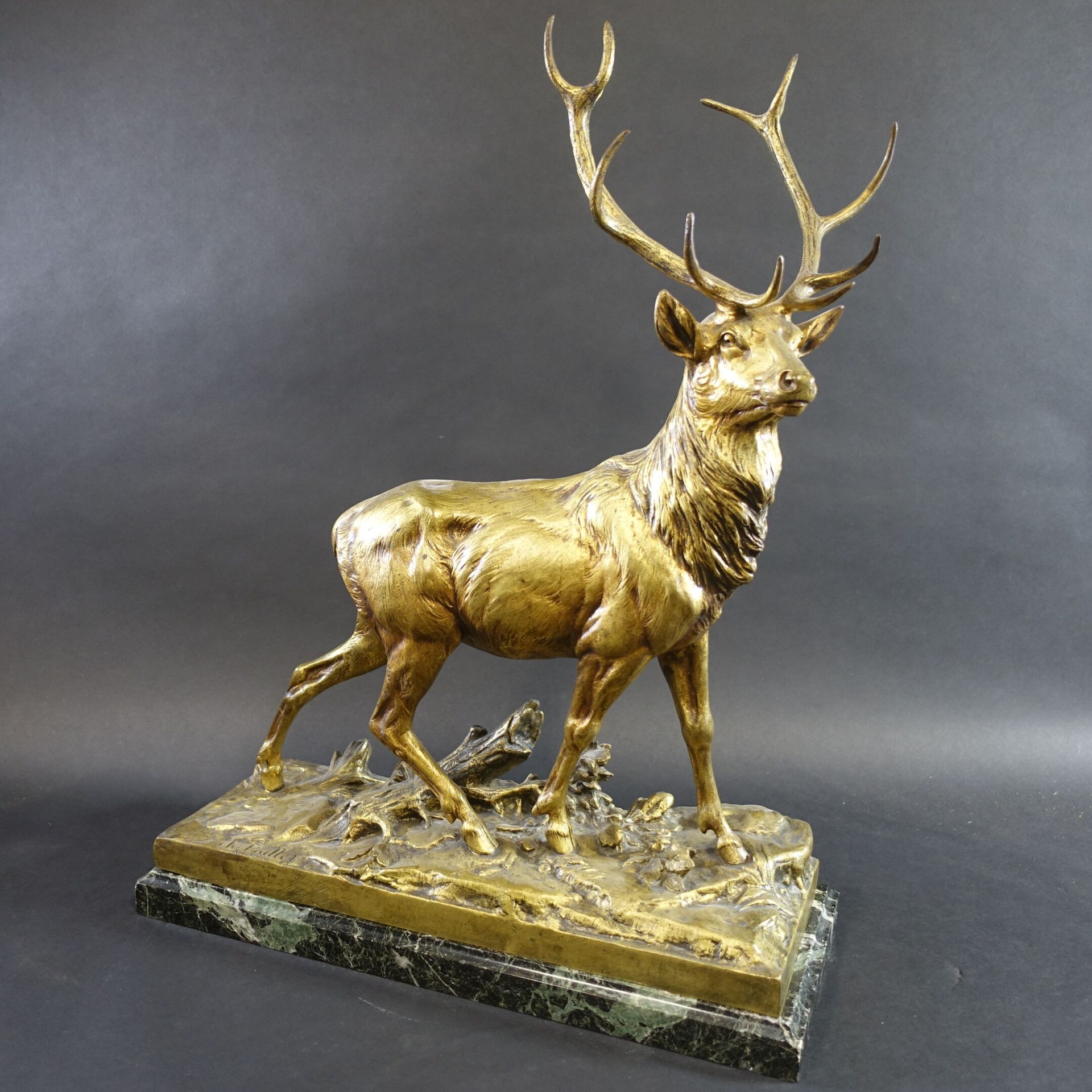 Null PAILLET Charles (1871-1937) : Grand cerf aux aguets. Bronze à patine doré s&hellip;