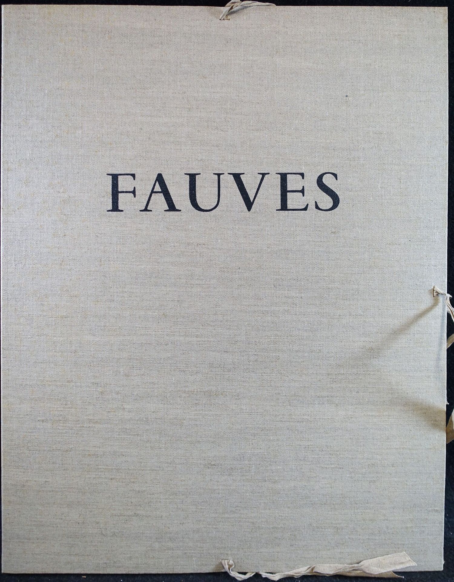 Null Album LEVY : les Fauves par Michel Hoog, illustré des reproductions de neuf&hellip;
