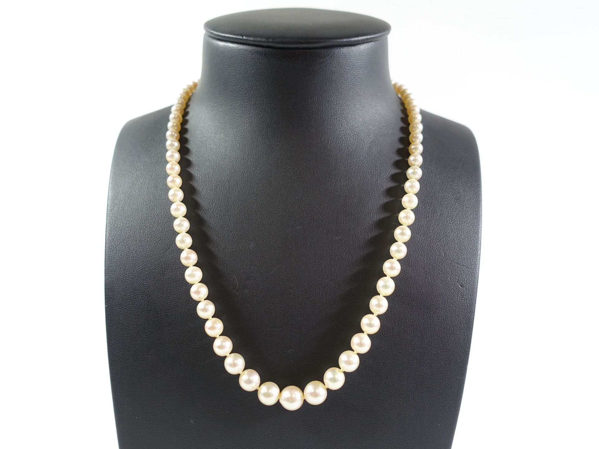 Null 秋天的文化珍珠项链，金扣750千分之一。长度：43厘米