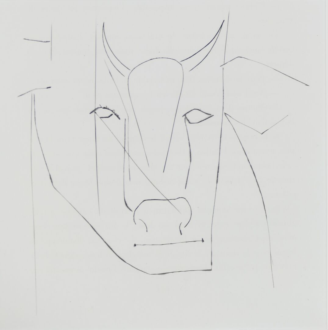 Null Picasso (1881-1973) nach. In Stichel gestochene Platte aus dem Buch Carmen &hellip;