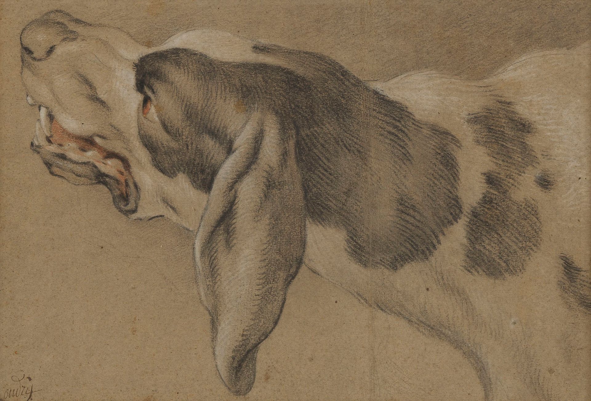 Null Jean-Baptiste Oudry (1686-1755) 
Tête de chien, fusain, craie blanche et sa&hellip;