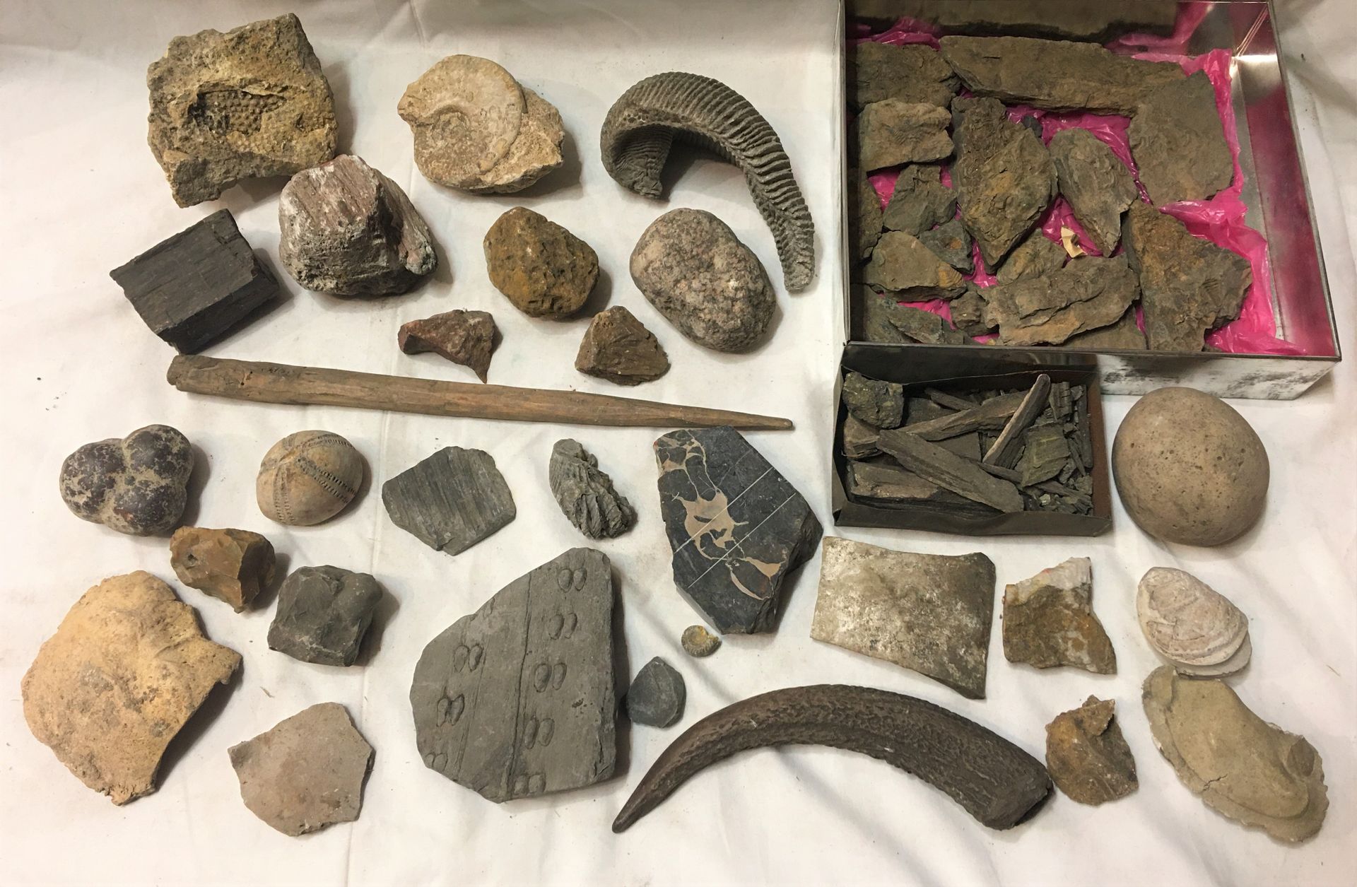 Null Ein Fossilienstapel von mehr als 30 Exemplaren, darunter: Feuersteinstücke,&hellip;