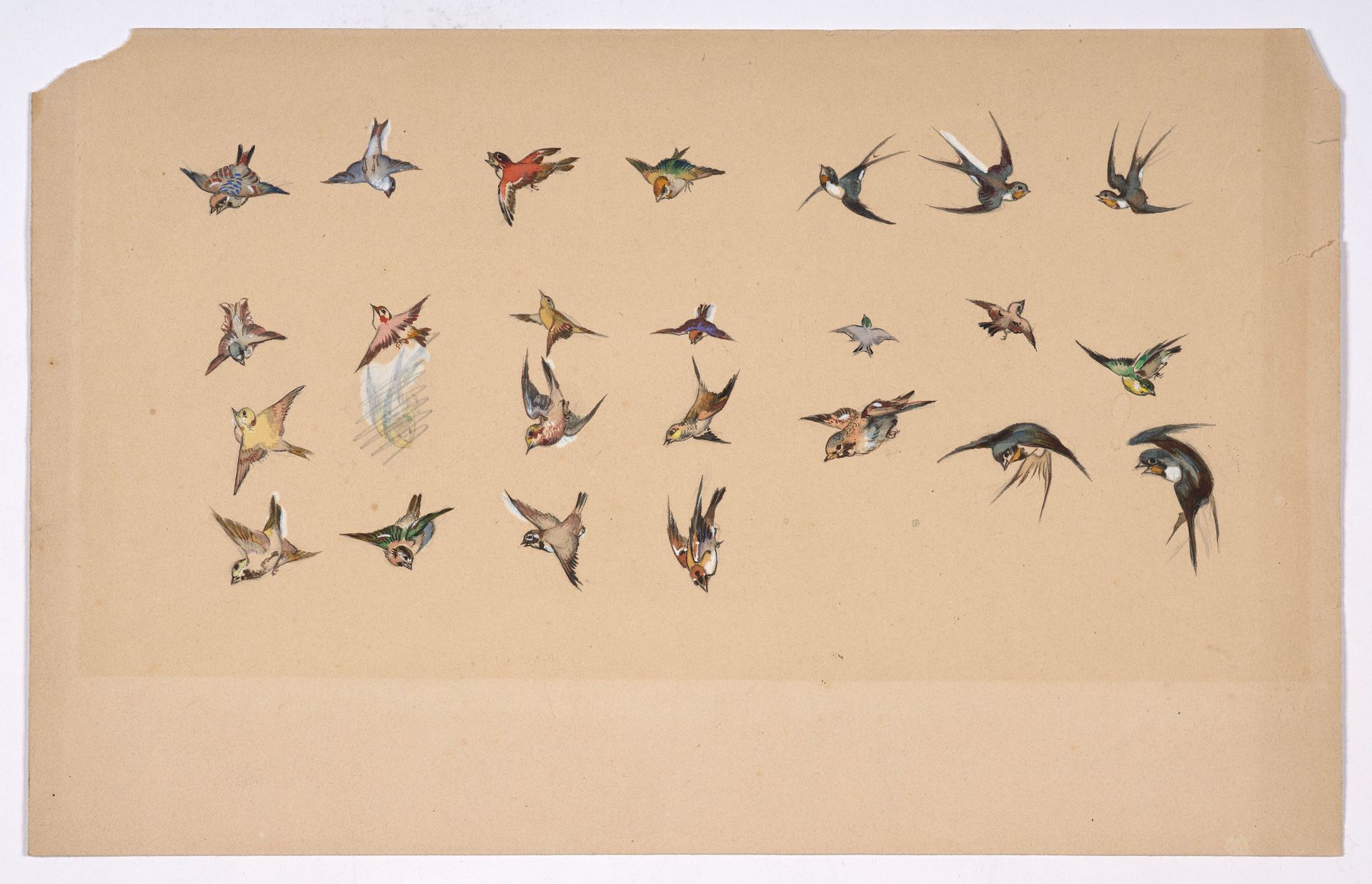 Null Félix BRACQUEMOND (Parigi, 1833 - Sèvres, 1914)


Studio di uccelli policro&hellip;