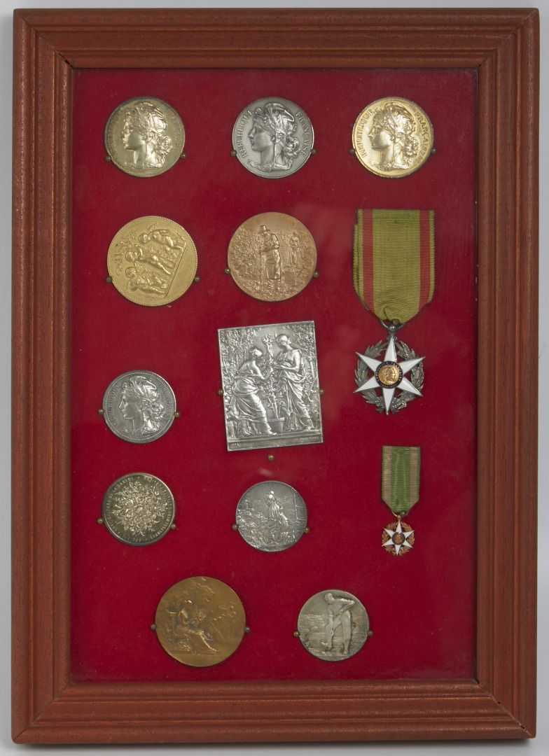 Null Set of 13 medals including : 
- 1 National Order of Agricultural Merit and &hellip;