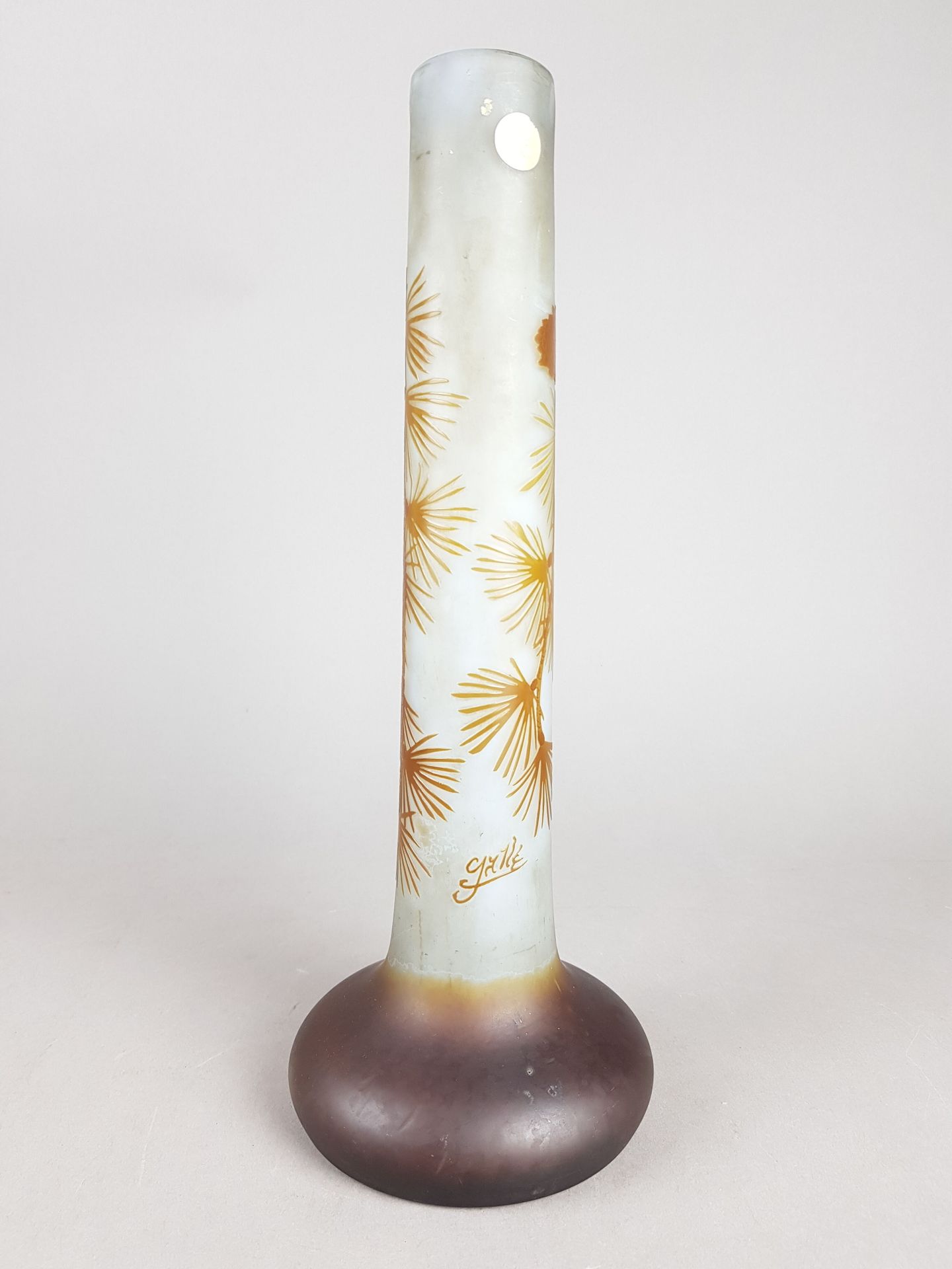 Null Établissements Gallé (1904-1936)

Vase tubulaire à panse renflée en verre m&hellip;