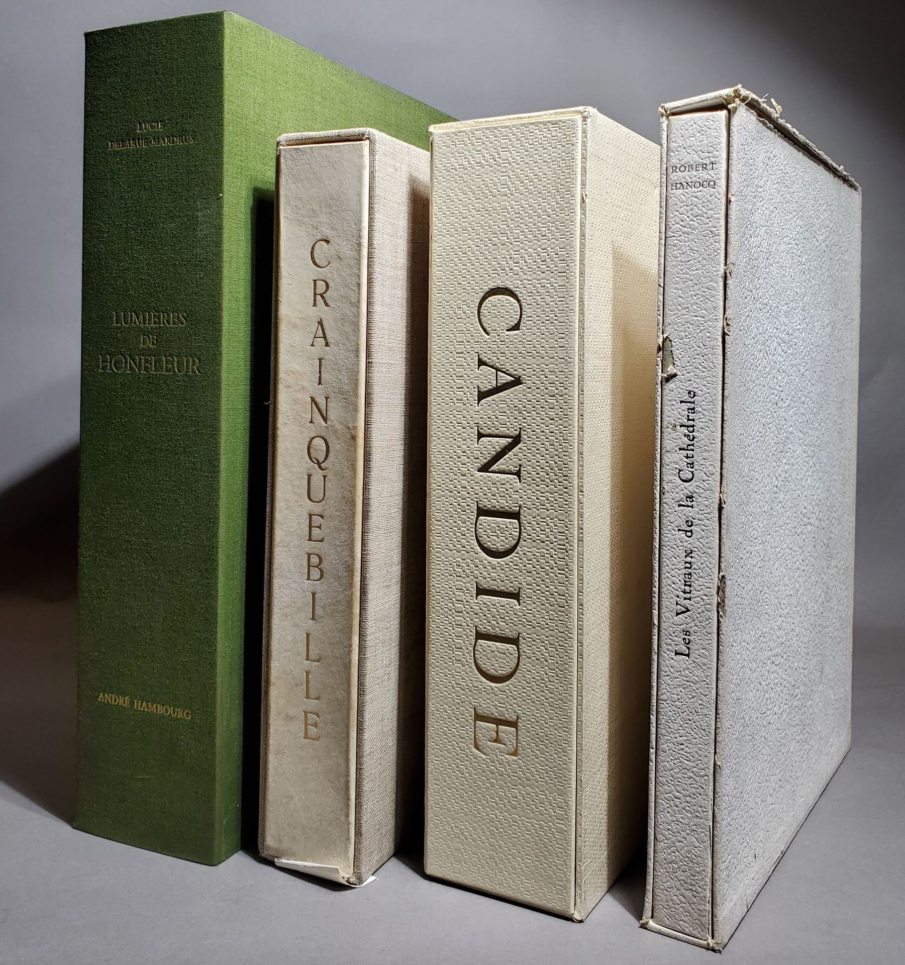 Null LOT de livres modernes illustrés - Voltaire : Candide ill. Par Van Elsen, e&hellip;