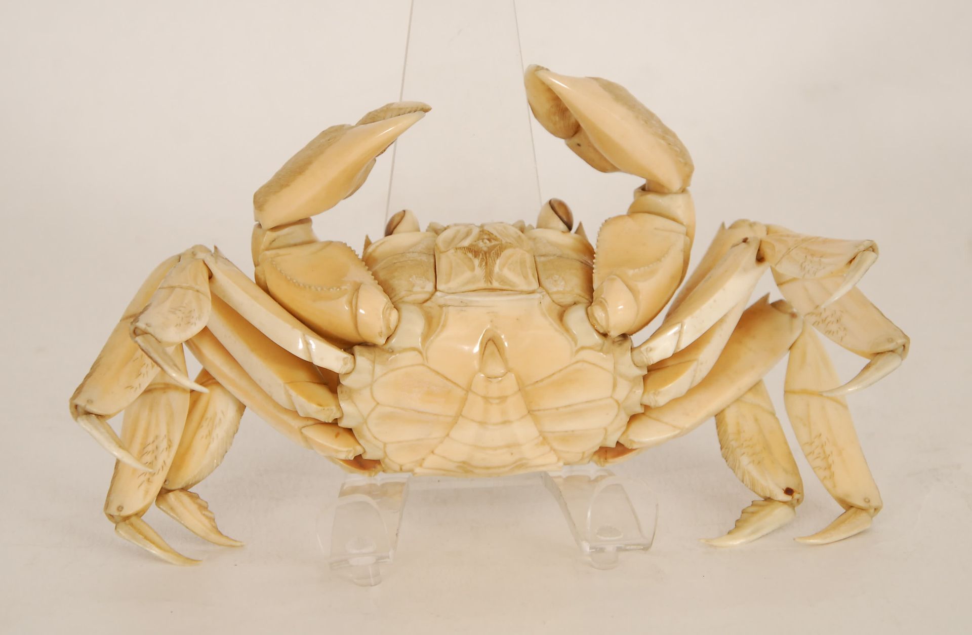 Null 铰链式螃蟹
雕刻的象牙。日本，19世纪。
6 x 25 x 13 cm。
所有潜在的买家应阅读有关濒危物种的销售条件（第19条）。