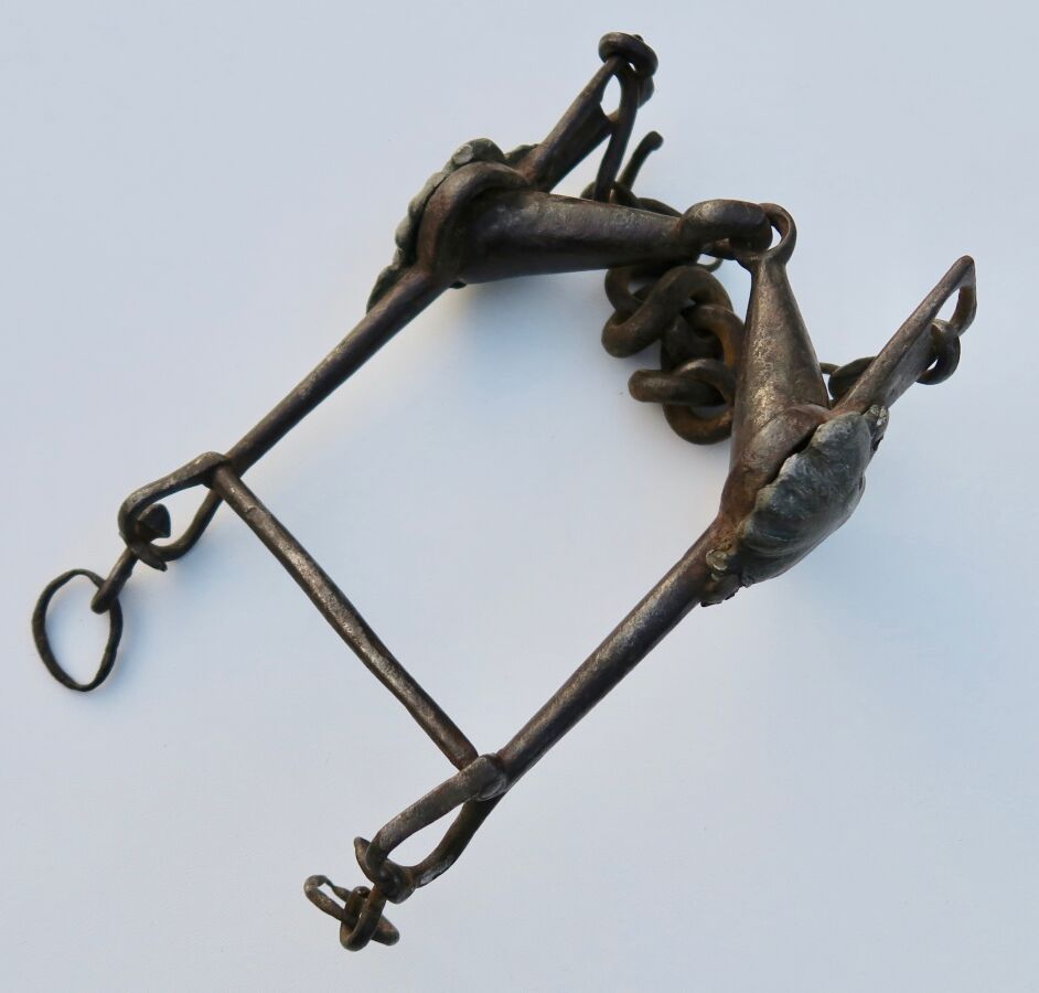 Null 军官的铁制辔头，有罕见的带扇贝设计的锡制凸起，枝干高21.5厘米，口器宽13厘米，18世纪。