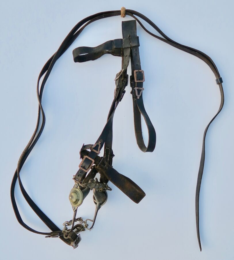 Null Bridle with bits, entirely in black leather with copper buckles, bridle bit&hellip;