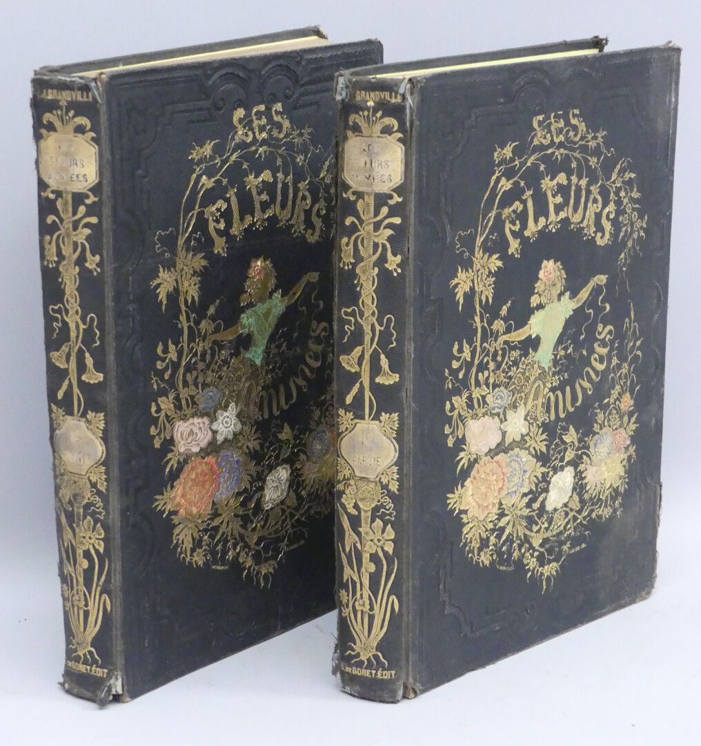 Null GRANDVILLE (J. J.). LES FLEURS ANIMÉES. Paris, G. De Gonet, 1847. Deux volu&hellip;