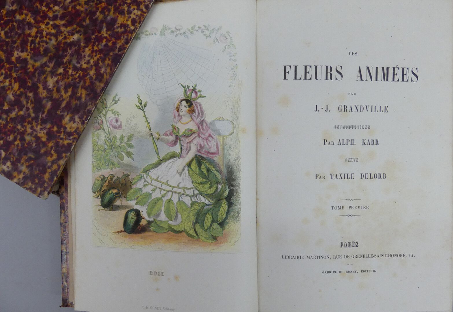 Null 格兰德维尔（J.J.）。栩栩如生的花朵。巴黎，G. De Gonet，无日期[约1860年]。两大卷，8开本，深色哈瓦那半角形，书脊有棱纹，隔板上有鎏&hellip;