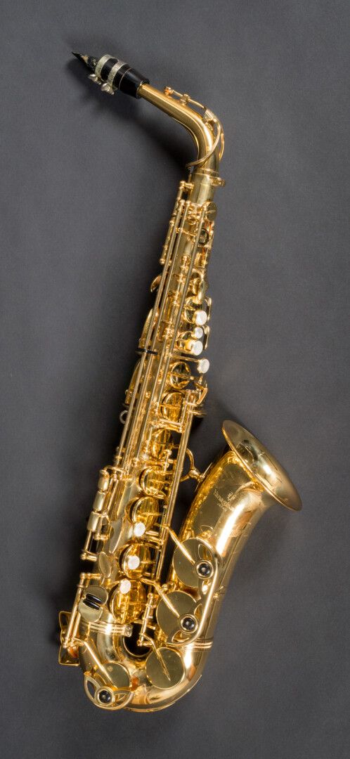 Null YANAGISAWA 

Alto saxophone model 900 in copper, pearly buttons. In its cas&hellip;