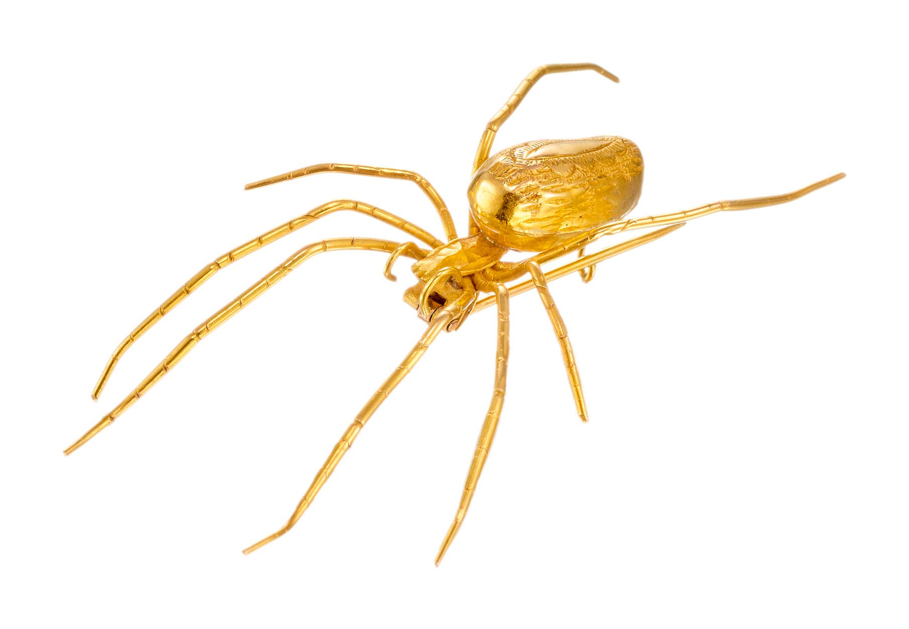 Broche "araignée" en or jaune

L : 6 cm - l : 3,2 cm

Pb : 3,85 g (18K - 750/100&hellip;