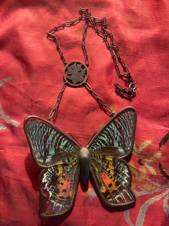 Null Collier papillon, monture et chaîne en métal argenté, ailes naturelles insé&hellip;