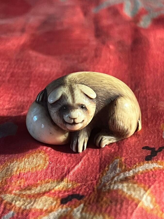 Null JAPAN - 19th century
Ivory Netsuke, puppy lying down, right front paw resti&hellip;