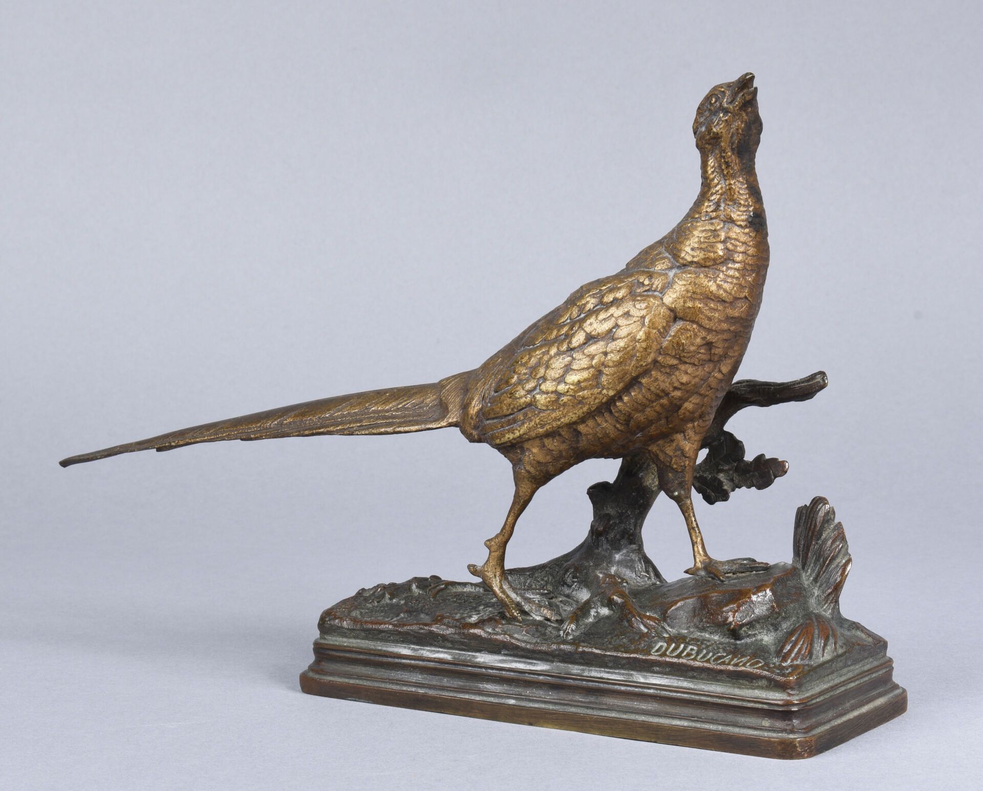 Null DUBUCAND Alfred (1828-1894) (Dopo)
"Fagiano
Soggetto in bronzo con patina m&hellip;