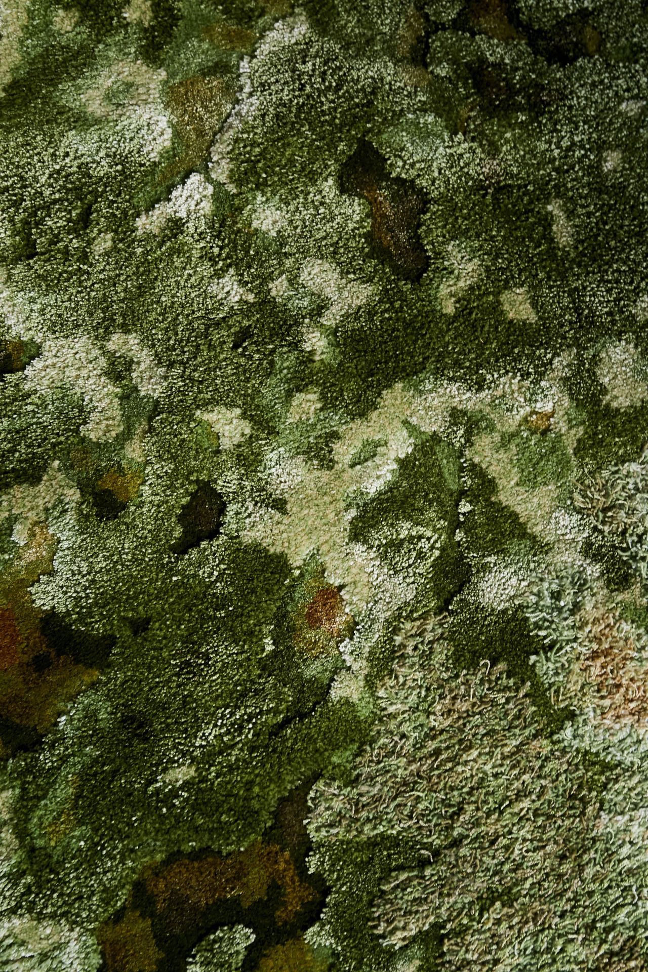Kengo Kuma 地毯 ---Koke，"日本花园 "系列
羊毛（60%）和丝绸（40%）
2013
高200宽140厘米