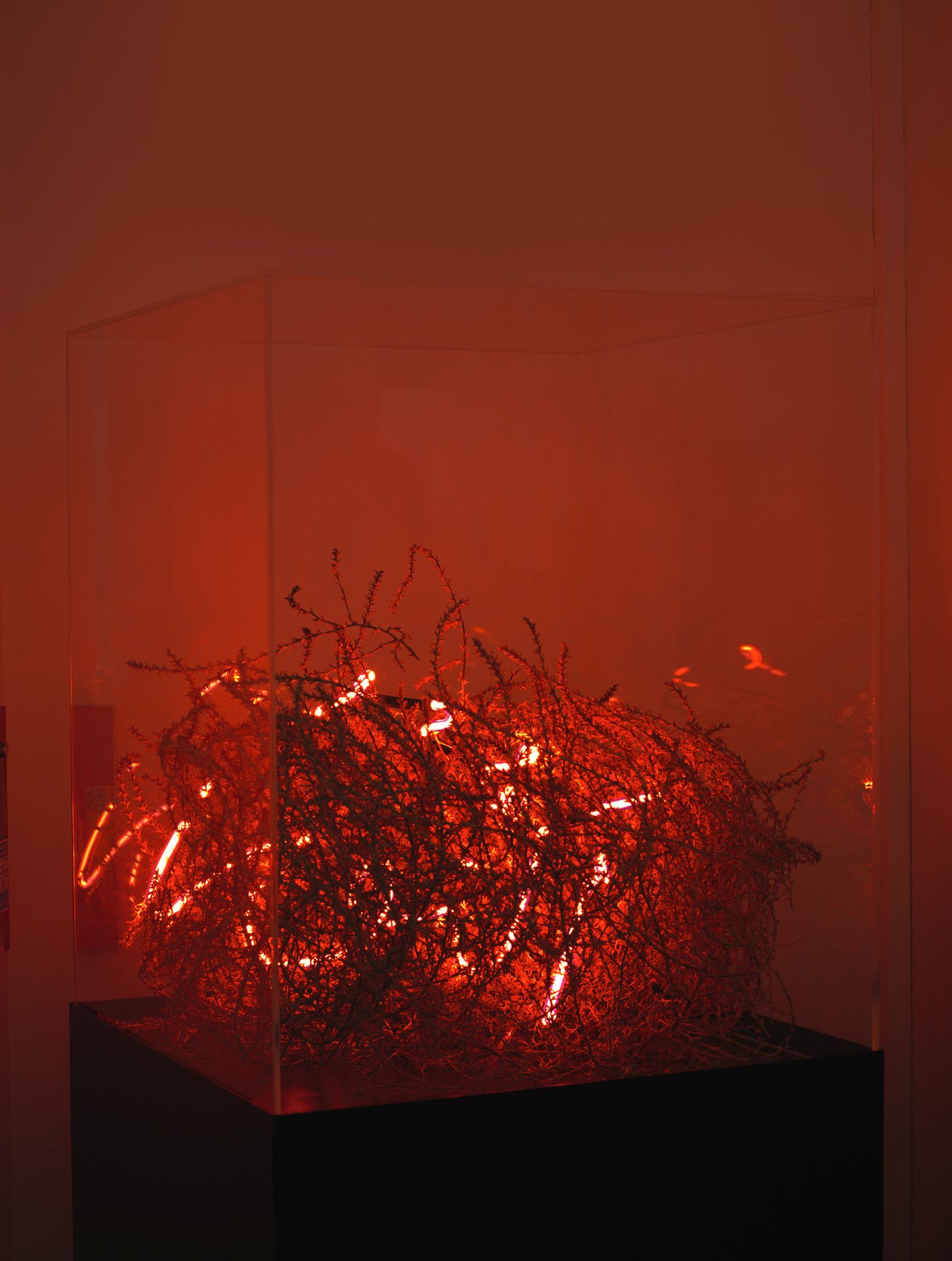 Shezad DAWOOD (né en 1974) THE LOVING (AL-WADUD), 2009
Neon und Tumbleweed auf e&hellip;