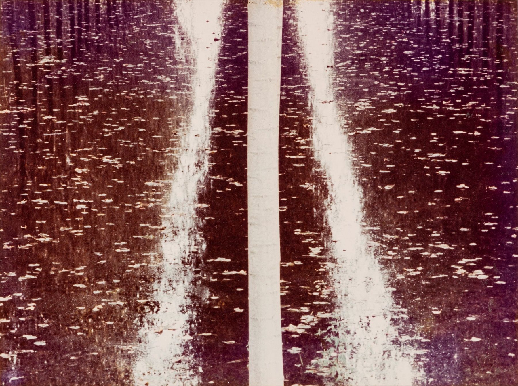Pino Dal Gal Sans titre, 1977

Tirage vintage chromogène
11,6 x 15,4 in.
Carton &hellip;