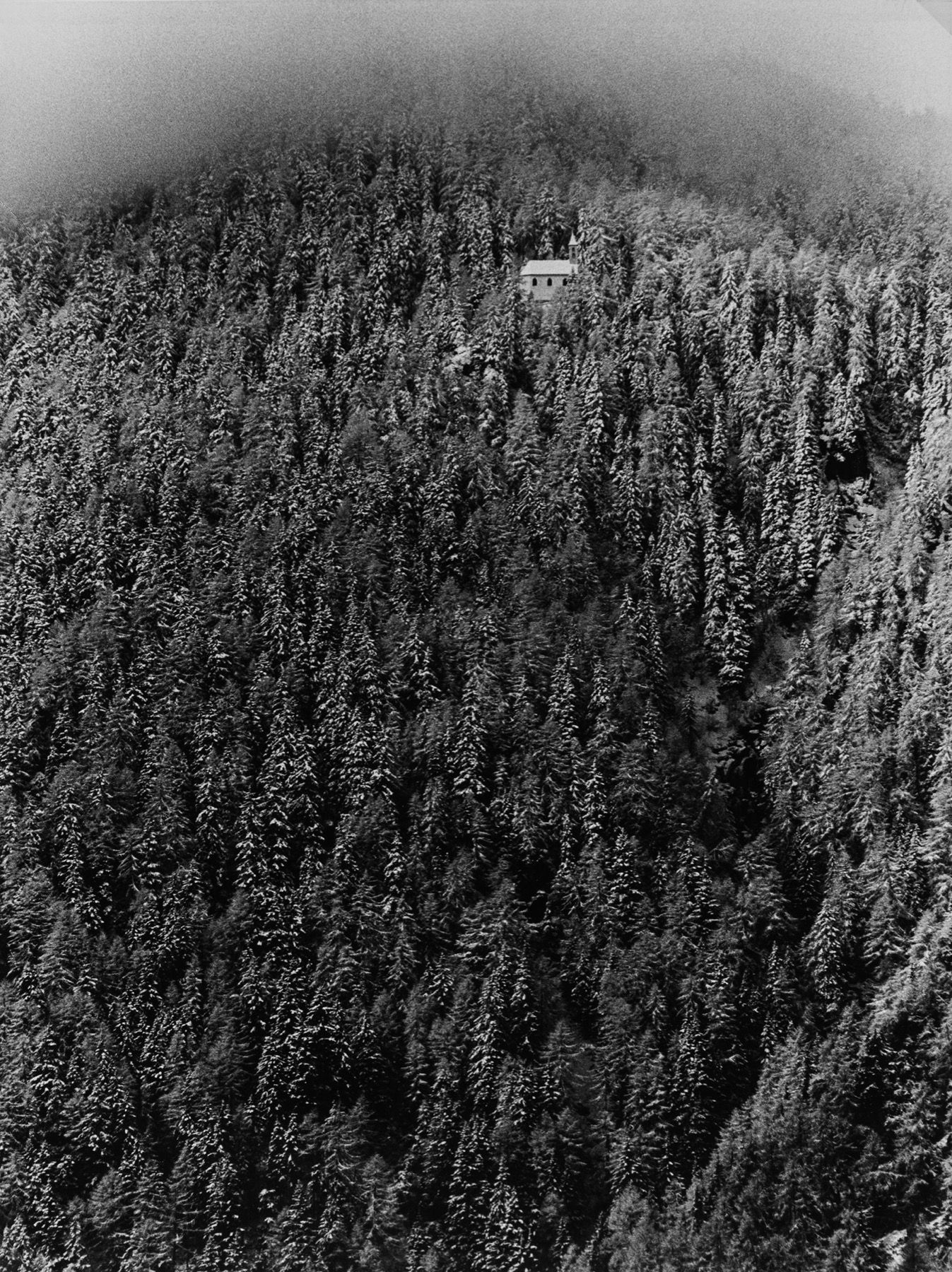 Mario De Biasi Sans titre (Forêt de pins), années 1970

Tirage gélatino-argentiq&hellip;