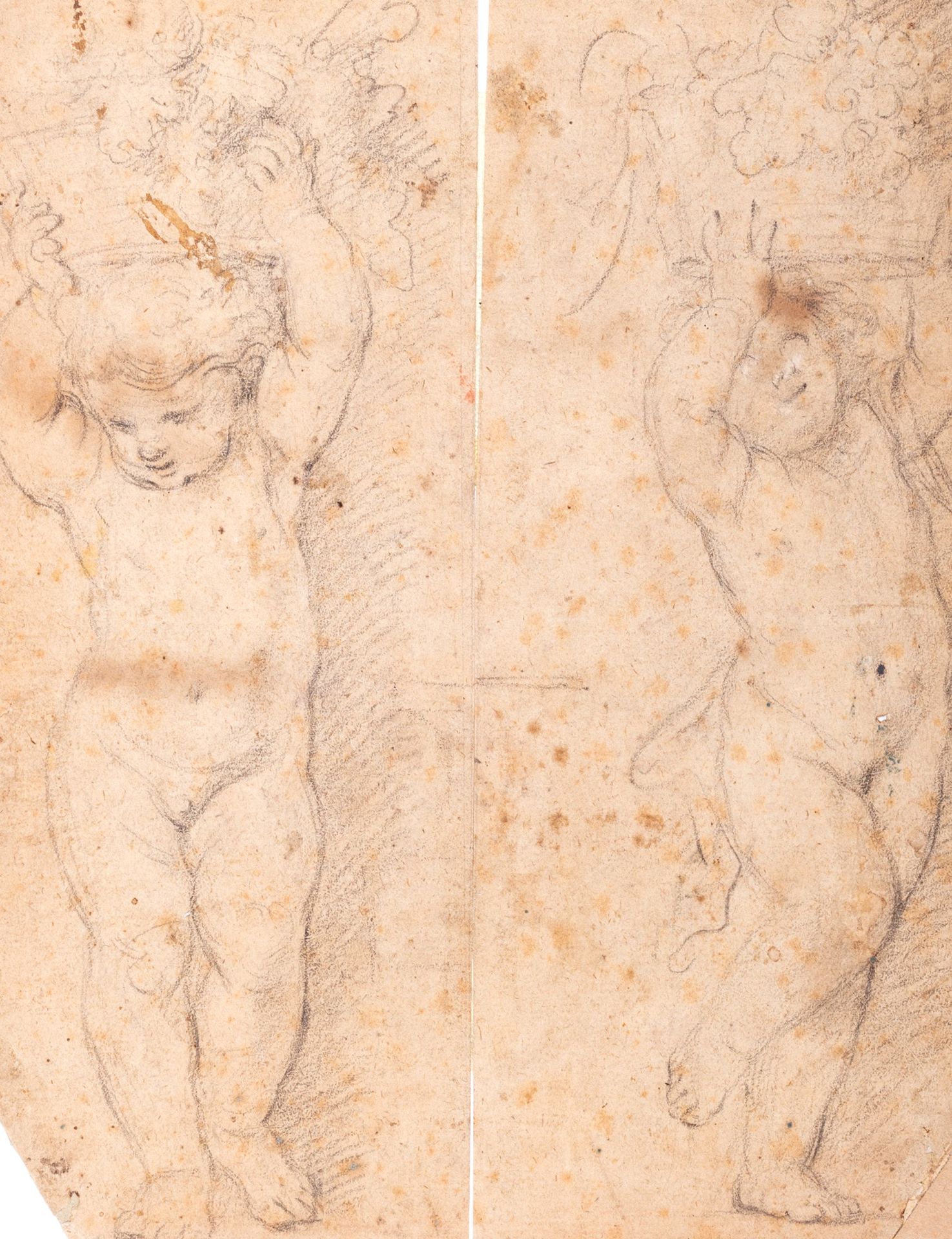 Sebastiano Conca 两个小天使的研究，他们的头上有花篮和水果

棕色纸上的黑色铅笔
249 x 95 mm
物品来源

 

Giancarlo &hellip;