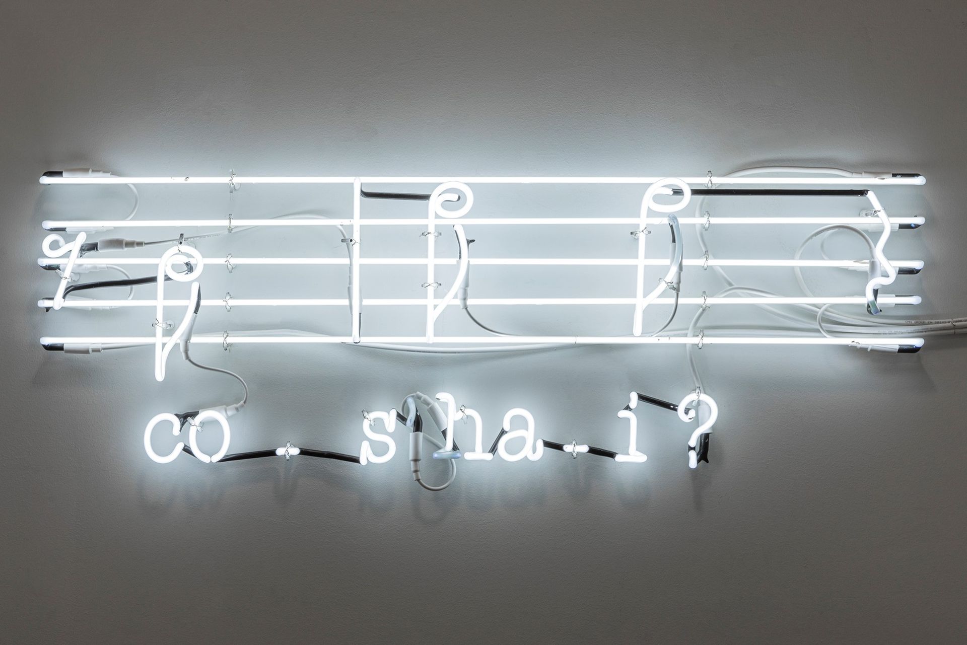 JOSEPH KOSUTH Joseph Kosuth (1945) - Fragments of Rossini (Guests and Strangers)&hellip;