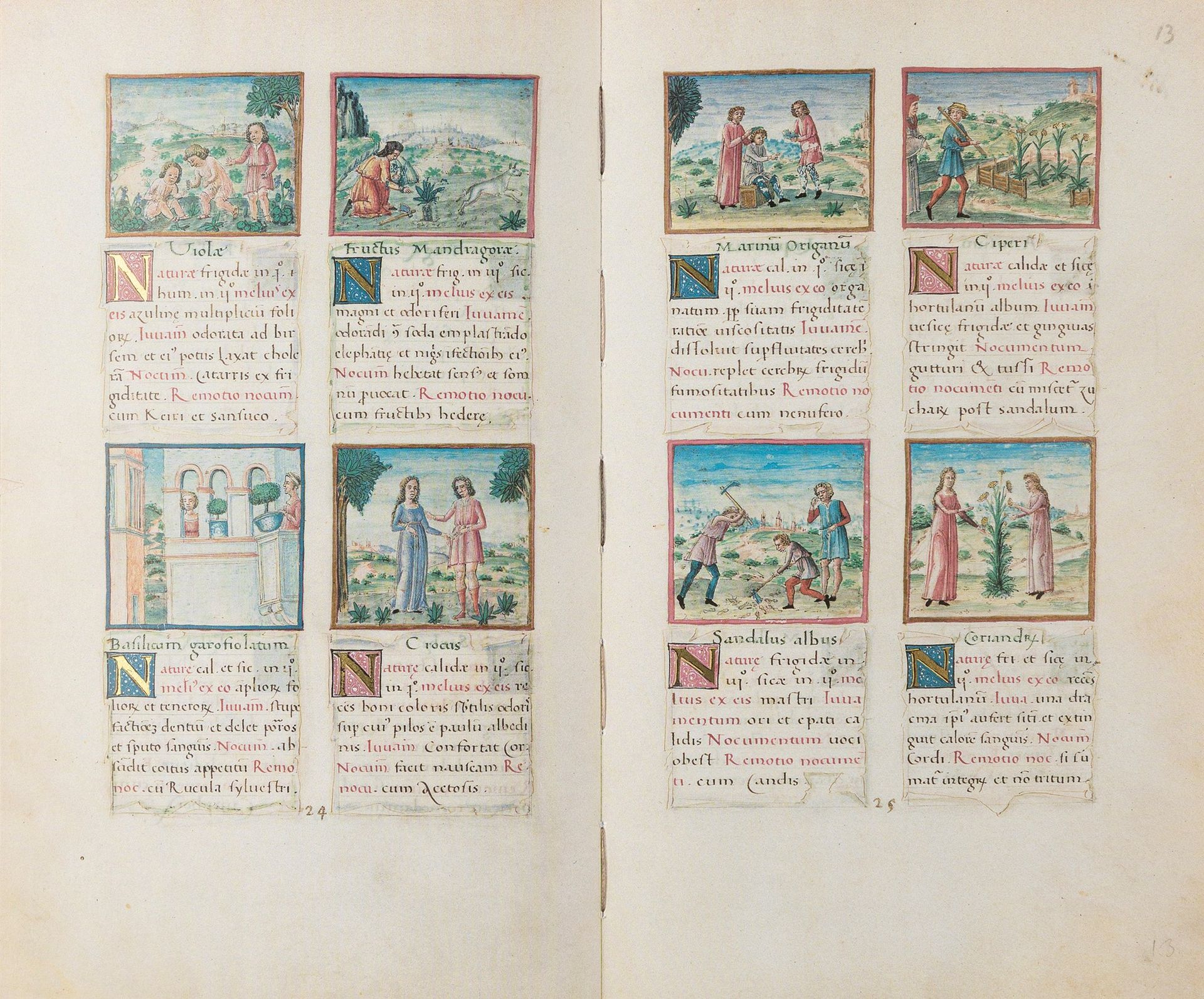 Null Tacuinum Sanitatis - Codex Vindobonensis 2396

París, Seefeld, 1984. 265 x &hellip;